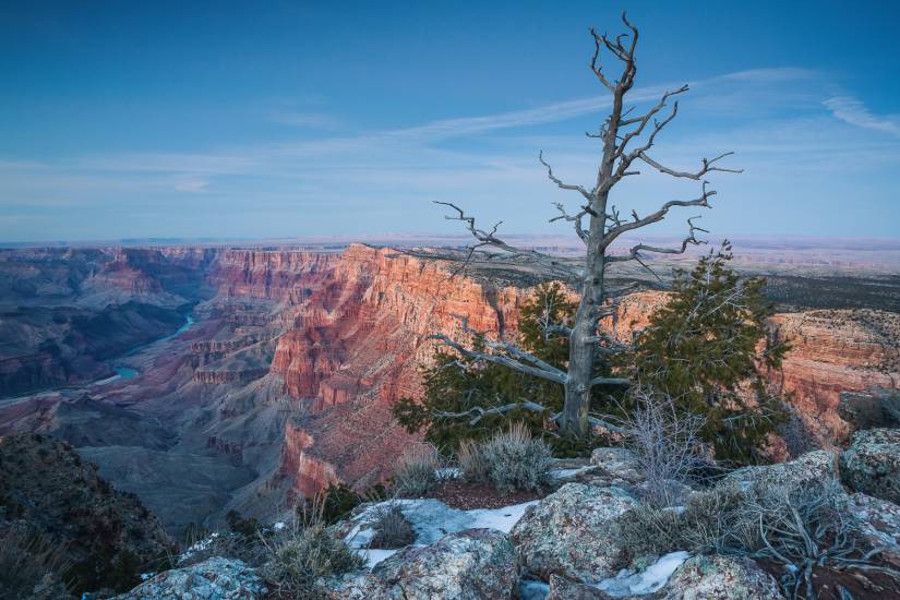 Photo - USA - Grand Canyon #18